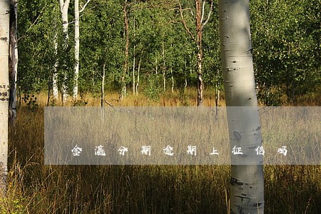 金瀛分期逾期上征信吗 金瀛分期逾期上征信吗