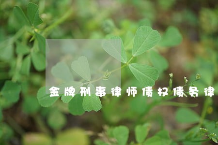 金牌刑事律师债权债务律师价格