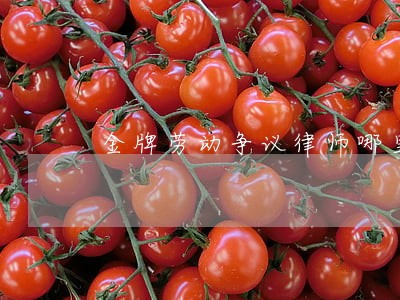 金牌劳动争议律师哪里有 金牌劳动争议律师哪里有
