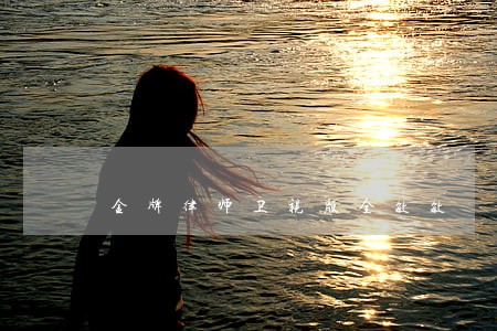 金牌律师卫视版全敏敏 金牌律师卫视版全敏敏
