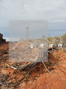 金牌律师团综艺节目 金牌律师团综艺节目