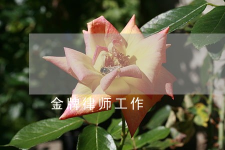 金牌律师工作 金牌律师工作