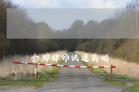 金牌律师快速离婚