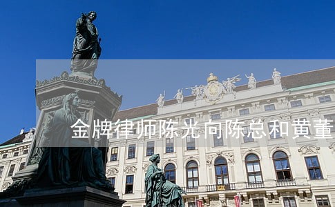 金牌律师陈光向陈总和黄董道歉