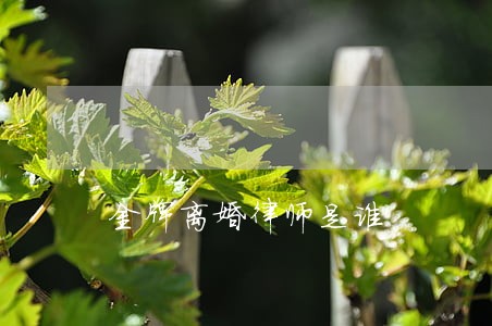 金牌离婚律师是谁 金牌离婚律师是谁