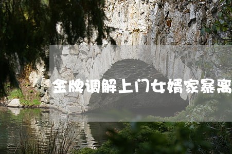金牌调解上门女婿家暴离婚 金牌调解上门女婿家暴离婚