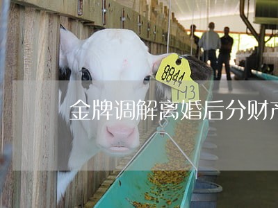 金牌调解离婚后分财产 金牌调解离婚后分财产