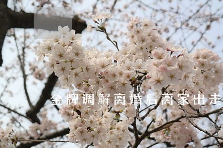 金牌调解离婚后离家出走 金牌调解离婚后离家出走