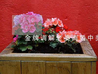 金牌调解老婆离婚中奖
