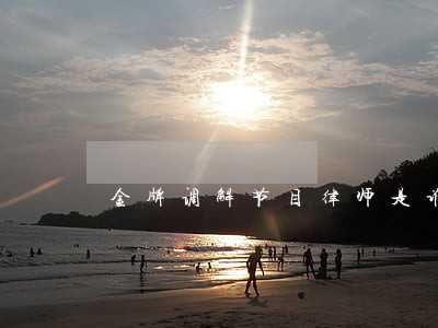 金牌调解节目律师是谁 金牌调解节目律师是谁