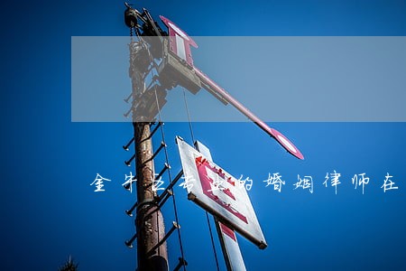 金牛区专业的婚姻律师在线咨询 金牛区专业的婚姻律师在线咨询