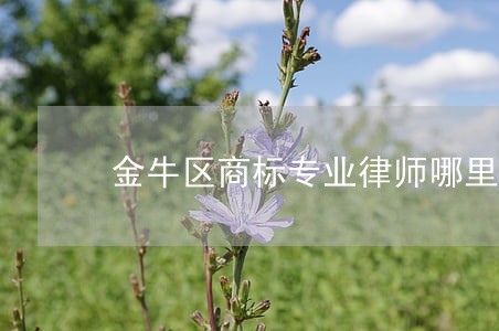 金牛区商标专业律师哪里找 金牛区商标专业律师哪里找