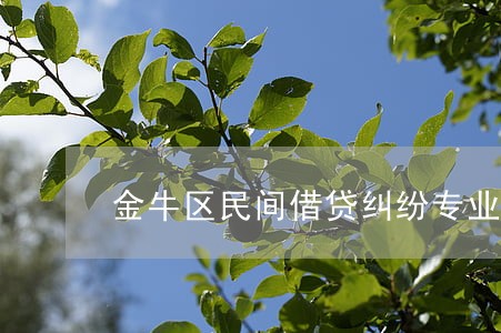 金牛区民间借贷纠纷专业律师费用 金牛区民间借贷纠纷专业律师费用