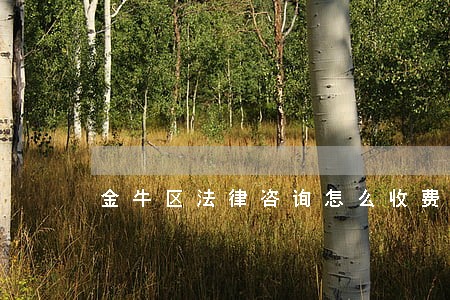 金牛区法律咨询怎么收费 金牛区法律咨询怎么收费