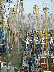 金牛区法律顾问招标 金牛区法律顾问招标