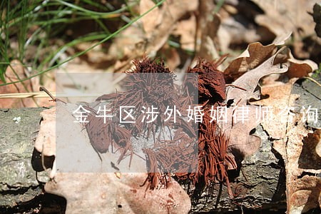 金牛区涉外婚姻律师咨询费用 金牛区涉外婚姻律师咨询费用