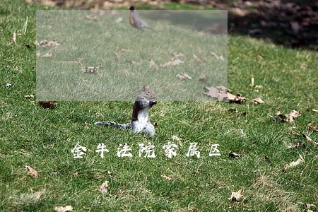 金牛法院家属区 金牛法院家属区