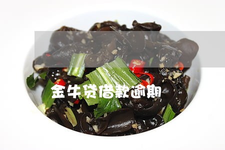 金牛贷借款逾期 金牛贷借款逾期