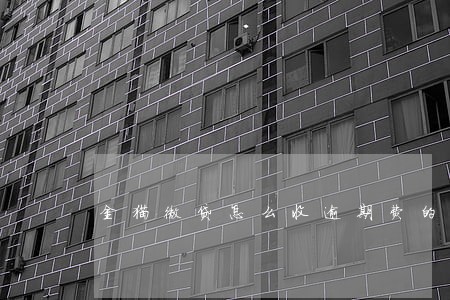 金猫微贷怎么收逾期费的 金猫微贷怎么收逾期费的