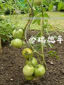 金瑞德车款逾期短信