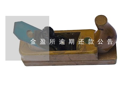 金盈所逾期还款公告 金盈所逾期还款公告