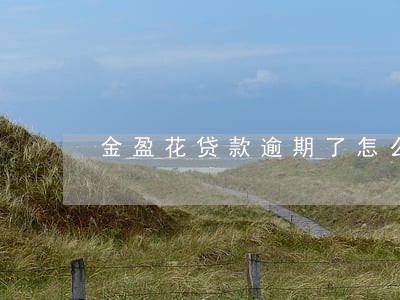 金盈花贷款逾期了怎么还款 金盈花贷款逾期了怎么还款