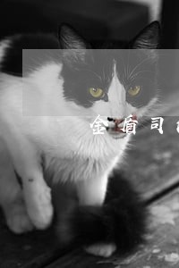 金盾司法鉴定所电话 金盾司法鉴定所电话