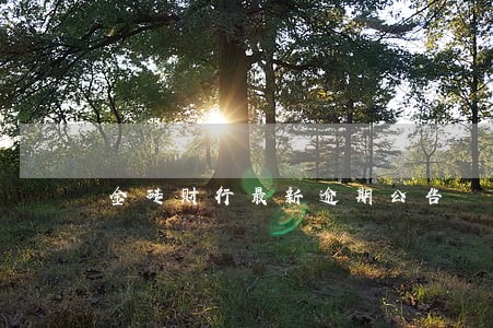 金砖财行最新逾期公告