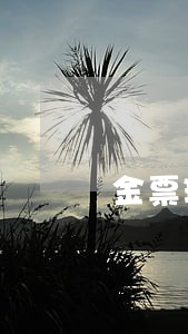 金票理财逾期怎么办 金票理财逾期怎么办
