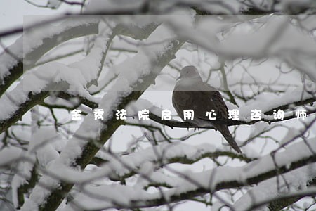 金秀法院启用心理咨询师 金秀法院启用心理咨询师