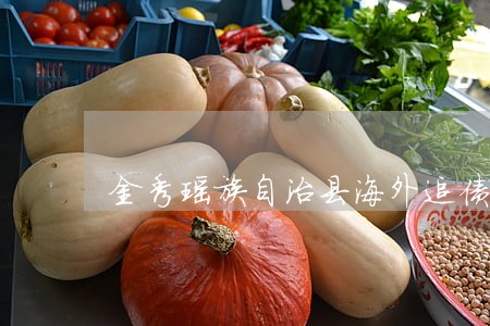 金秀瑶族自治县海外追债律师 金秀瑶族自治县海外追债律师