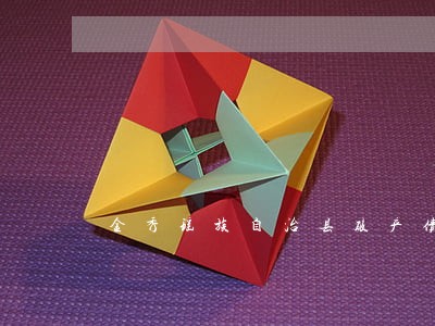 金秀瑶族自治县破产债权债务律师