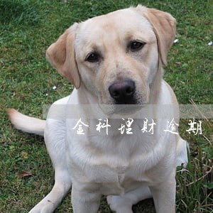 金科理财逾期 金科理财逾期