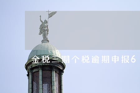 金税三期个税逾期申报6 金税三期个税逾期申报6