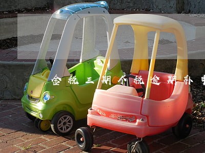 金税三期个税逾期补申报 金税三期个税逾期补申报