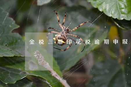 金税三期印花税逾期申报 金税三期印花税逾期申报
