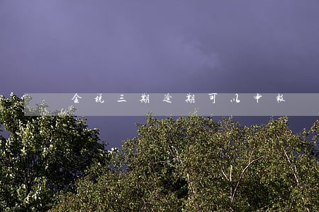 金税三期逾期可以申报 金税三期逾期可以申报