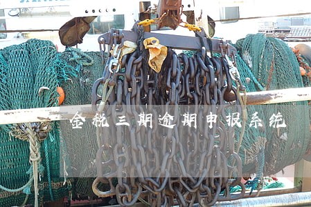 金税三期逾期申报系统 金税三期逾期申报系统