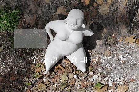金税盘上逾期报税了怎么办 金税盘上逾期报税了怎么办