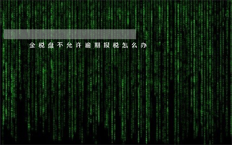 金税盘不允许逾期报税怎么办 金税盘不允许逾期报税怎么办