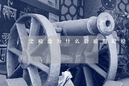 金税盘为什么会逾期报税
