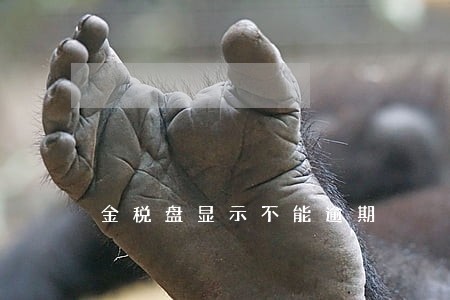 金税盘显示不能逾期 金税盘显示不能逾期