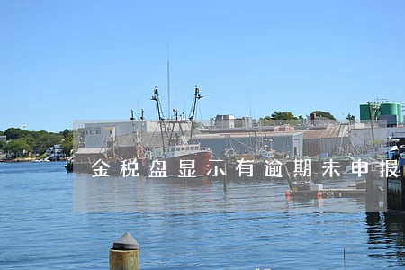 金税盘显示有逾期未申报 金税盘显示有逾期未申报