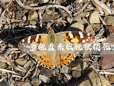 金税盘未报税被锁死逾期罚款 金税盘未报税被锁死逾期罚款