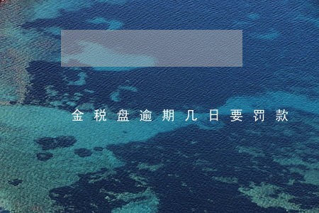 金税盘逾期几日要罚款 金税盘逾期几日要罚款