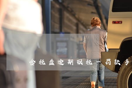 金税盘逾期报税一罚款多少