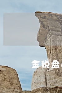 金税盘逾期未抄报税怎么处理 金税盘逾期未抄报税怎么处理