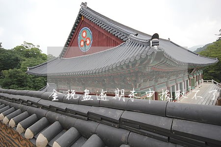 金税盘逾期未申报取不了票 金税盘逾期未申报取不了票