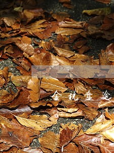 金税盘逾期清卡扣款 金税盘逾期清卡扣款