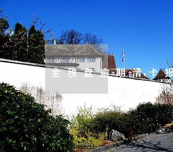 金税盘逾期清卡报税咋办 金税盘逾期清卡报税咋办